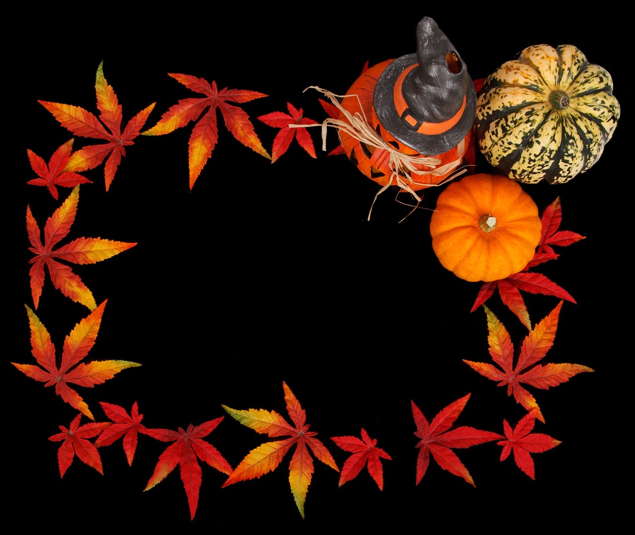 découvrez notre large sélection de couleurs de montures pour sublimer votre style et personnaliser vos lunettes selon vos goûts.