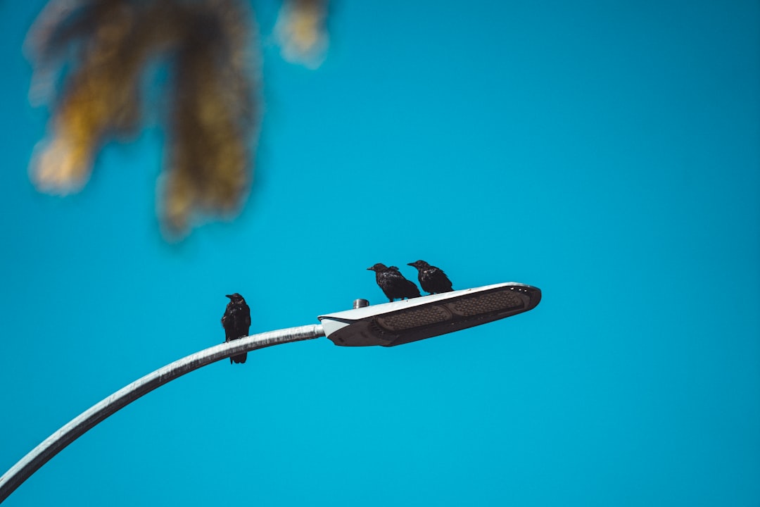 découvrez notre sélection de casques sans fil offrant confort, qualité sonore et liberté de mouvement pour une expérience audio optimale.