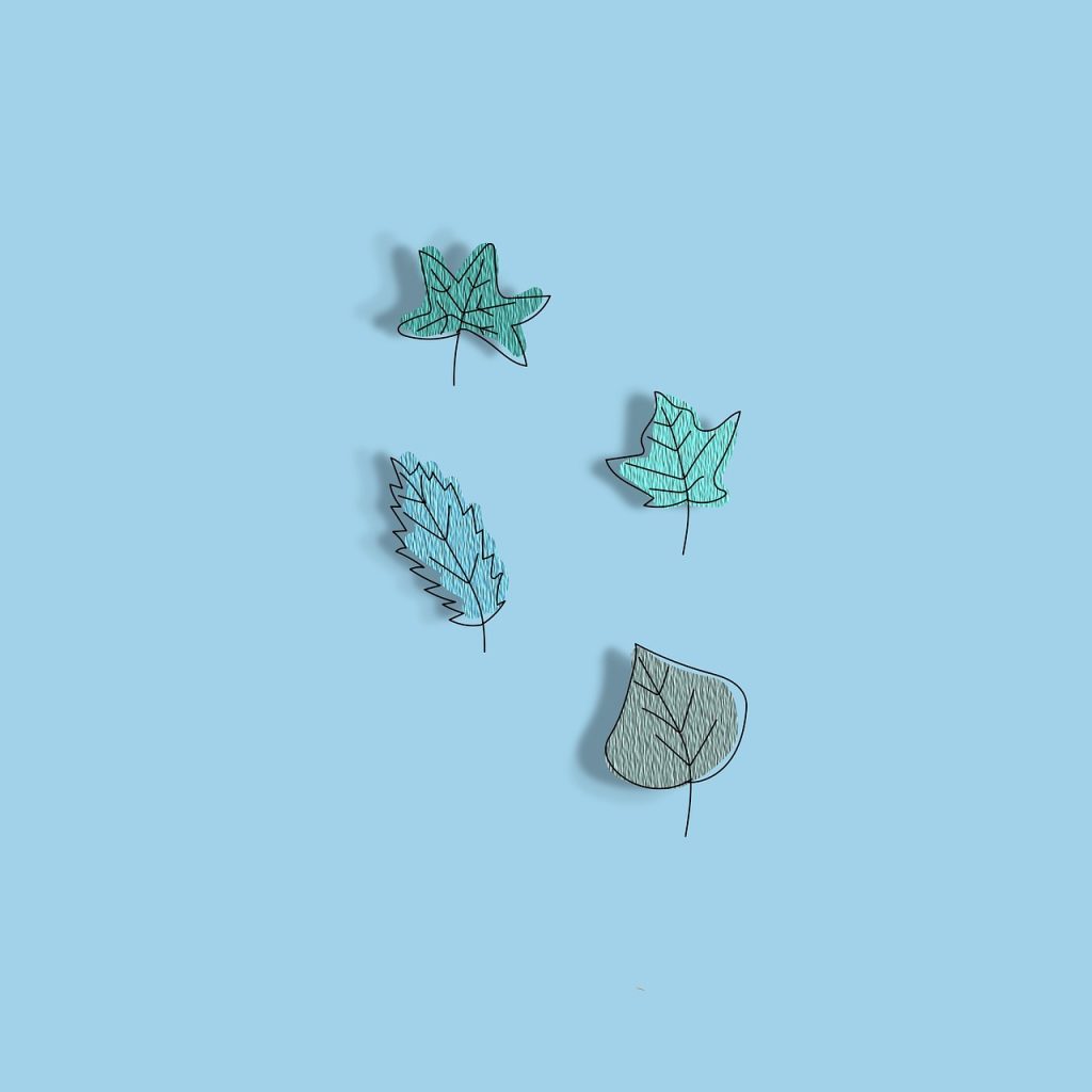 découvrez des coiffures bohémiennes élégantes et naturelles, parfaites pour un style décontracté et chic au quotidien.