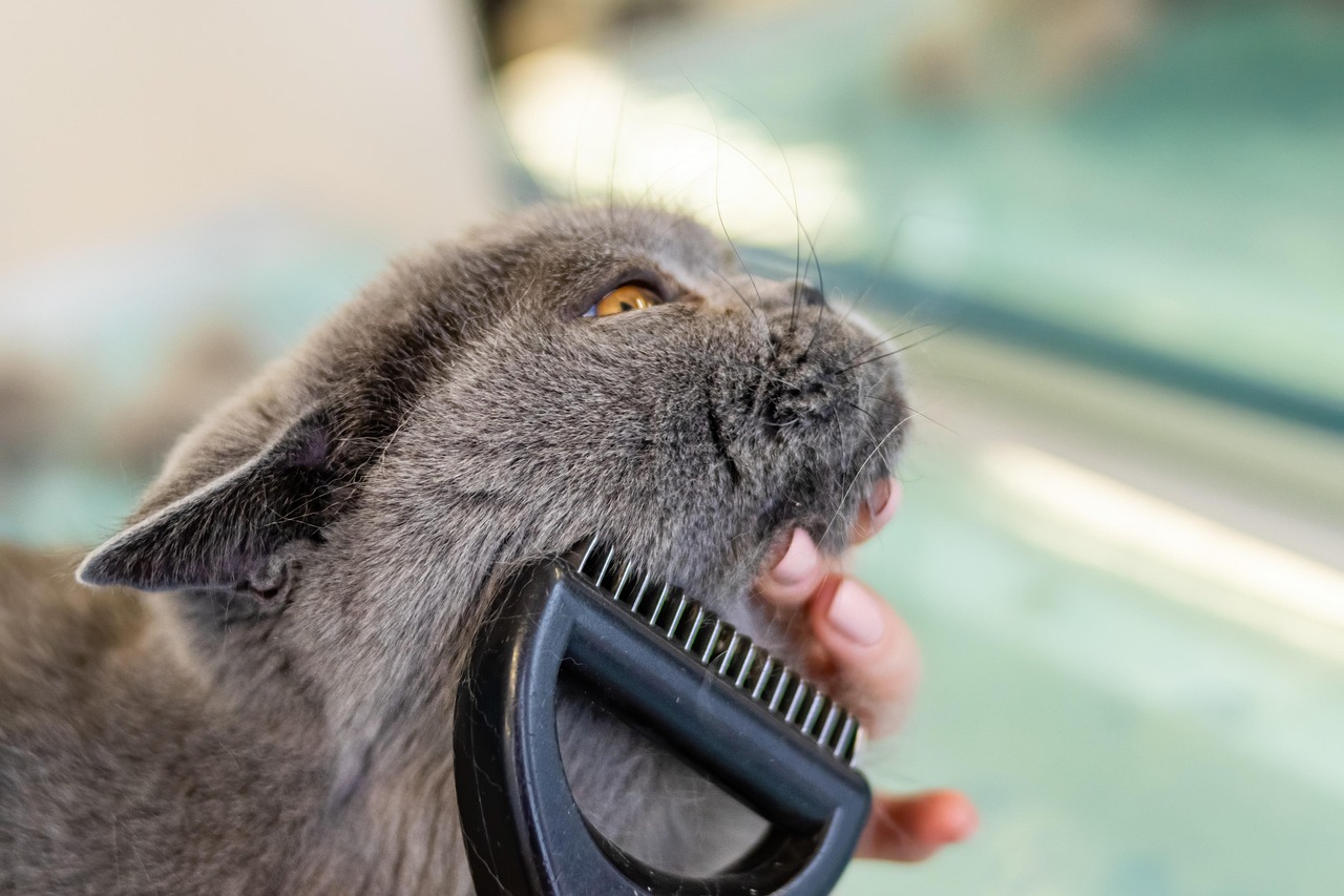 tondeuse à barbe professionnelle offrant une précision et un confort optimaux pour un grooming parfait.